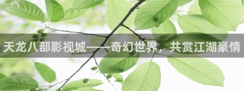 青苹果影院典籍里的中国